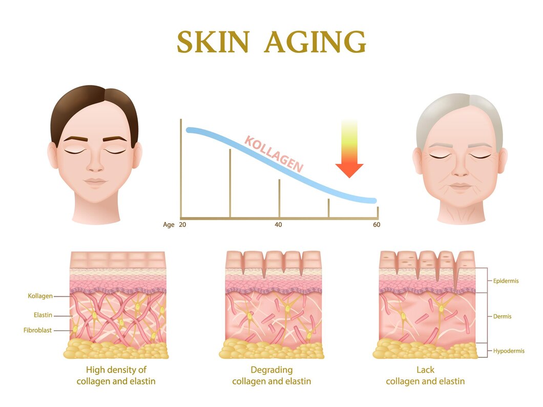 Unlock Radiance: The Path to Timeless Skin Longevity