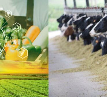 Agri and livestock sector in apksiatn scaled 1