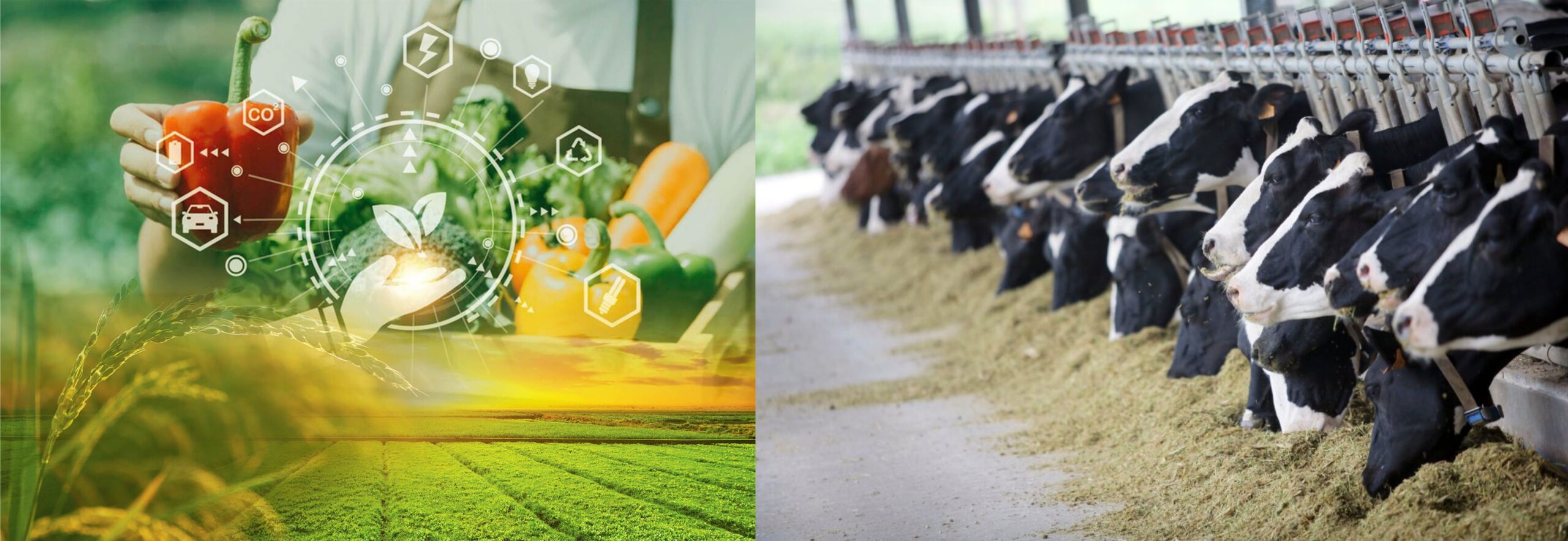 Exploring Lucrative Business Avenues in Agriculture & Livestock Sector in Pakistan