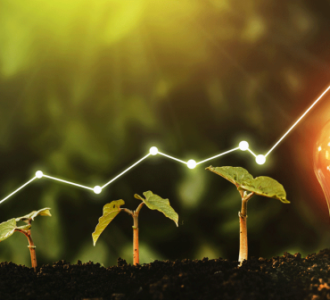 Growth and sustainability