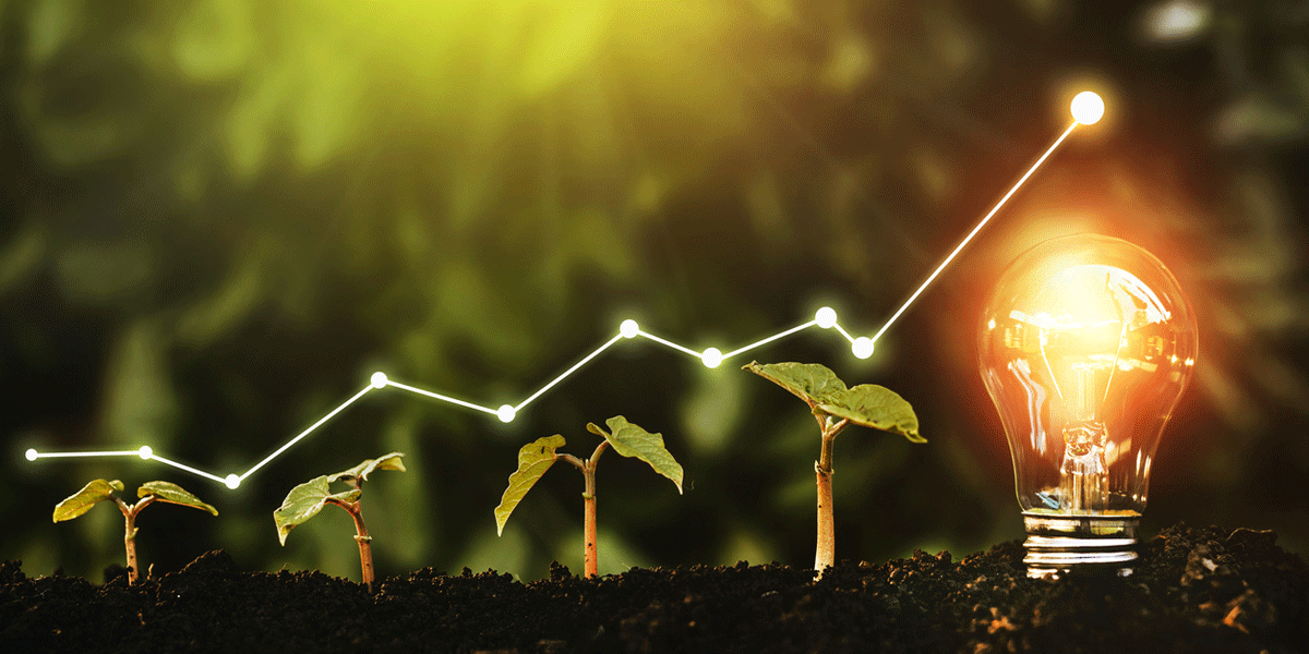 Growth and Sustainability