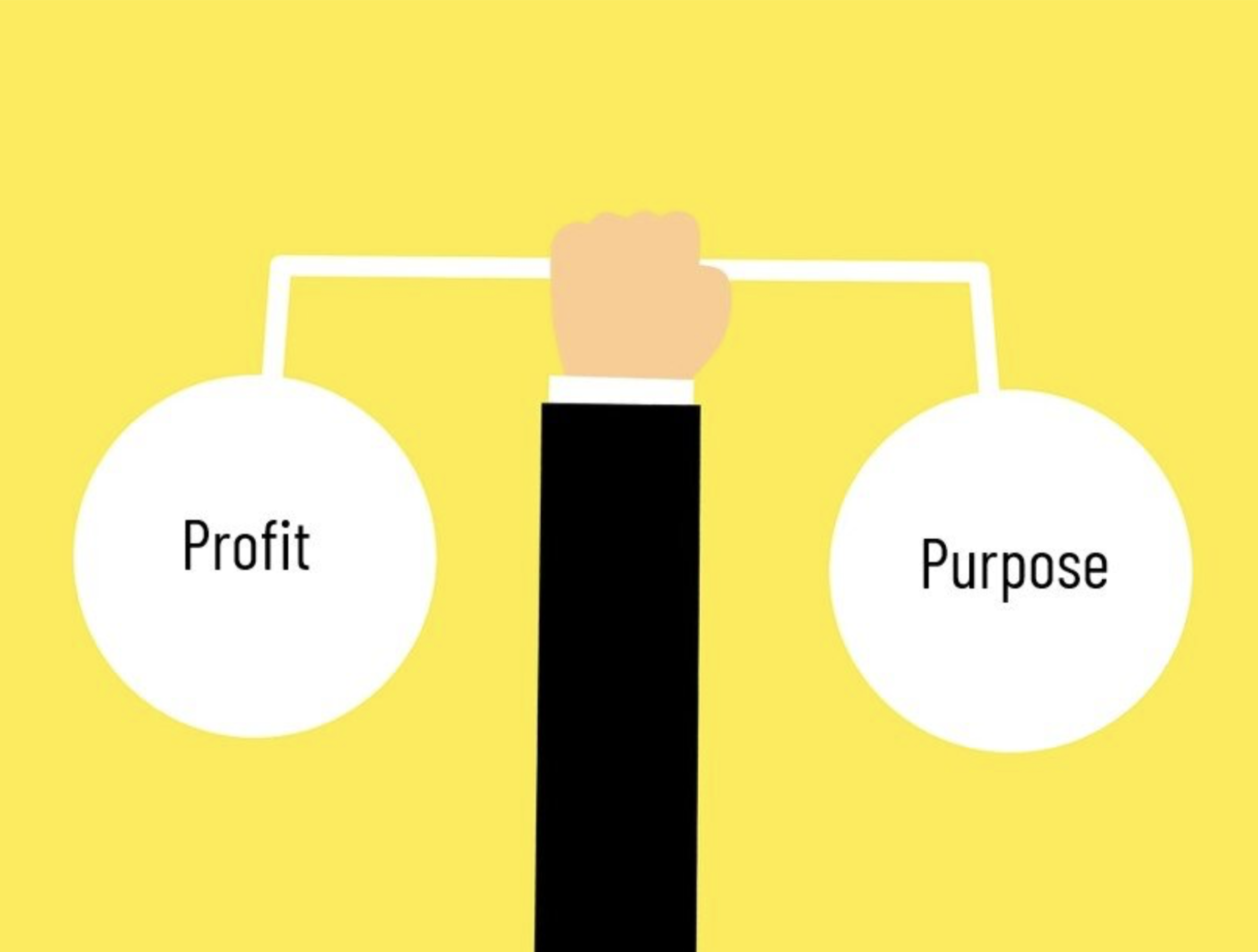 Balancing Profit and Purpose